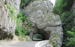 Les gorges de La Bourne